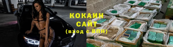прущие грибы Алзамай