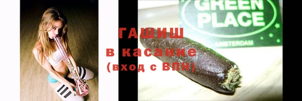 прущие грибы Алзамай