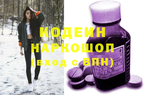 молекула духа Алексин