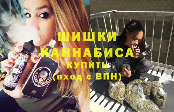 прущие грибы Алзамай