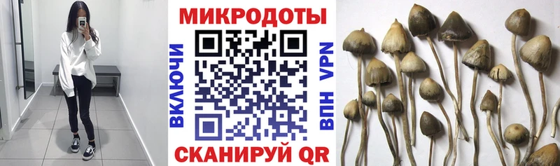 Галлюциногенные грибы Cubensis  Купить  Семёнов 